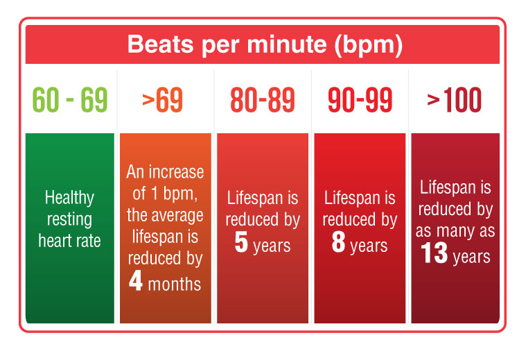 4 Ways to Strengthen Your Heart